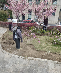 ���ү�������ү������ժ����ҡ�� ��үֱ�Ӽ�֦��