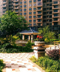 �ϳ�һ���ܸ���ѧ�����𣿻�Ӱ��С���п�������