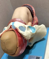 ������ô�������ģ������ģ��������ú�ֱ�ۣ�