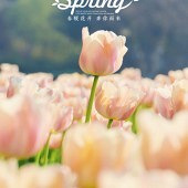 ���� �������ǻ���