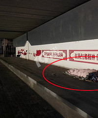 ��ʢ�����Ŷ��±���һ�̾��Ǽң����˲����װ���