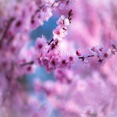 ���Ž��� ӣ���ˬ