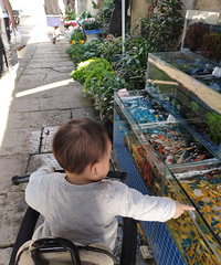 ��ô��С���Ӻܿ���˯��������ȥ ������Ҫ��һ�� ���