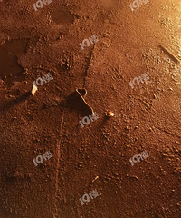 ���׻�δ�죬���ѳ���������9��������������ĵ�һ����