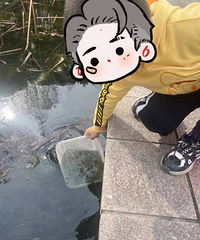 ��������������ʣ�36���̥  �᲻��̫���ˣ�