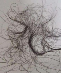 ���˺��Ӻ�ͷ���͵�̫����ô�죿��Ĳ���������ϴͷ�ˣ�