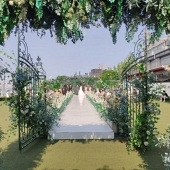 ���ֽ��ߵĲ�ƺ����