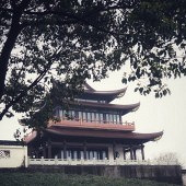 �����ϱ���