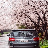 �ֵ�һ����ӣʱ