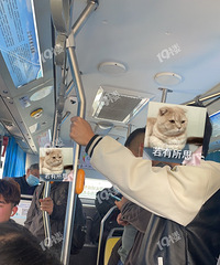 �з�����������ʮ����һ���169·�Ǽʹ�����ĺü���