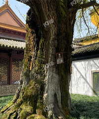 �������С������ֵ��һ�䣡