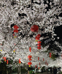 ���Ͽ�ӣ��������æ����ĩ��ͬ�� ����ԤԼ�Ǽ�һ�¾��ܽ�