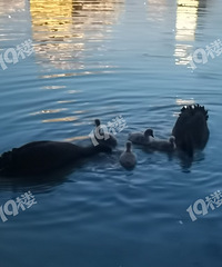 ����ĺ���챦��������������ë���׵ĺÿɰ�����