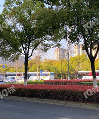 �ϰ�·�Ͽ���һ��ѧ�����εĴ�ͳ� ������Ľ����