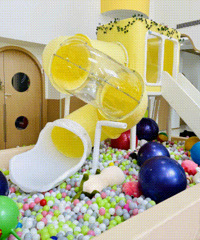 2��С����ѧ���޹�