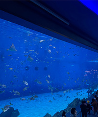 �׶�԰��֯���Σ�С�ຣ�� �а�Ұ������԰ ����ʿ�ᣡ