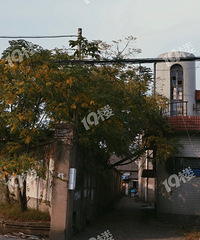 Ӧ���Ǽ��˳��ڵĹ�����ҵ��������˵�˺ܾúû��Ž�ȥ��