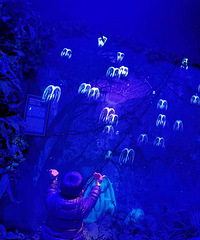 �׶�԰��֯ȥ��ʿ�� �����Ǻܸ��� �������С�Ķ���ſ��...