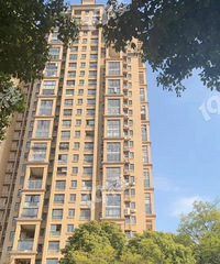 С�����Ϸ��ֳ��������� �����ˣ�