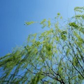 Ҧ�ҵ�������