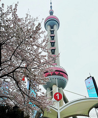 ���鱾����ʵ �����Ϻ�һ���� ȥ��������������