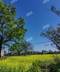 ÷�����������թƭ��  ��ȫ��ֵ��Ʊ�۸񣡺���Ļ��Ǳ�ȥ�ˡ�