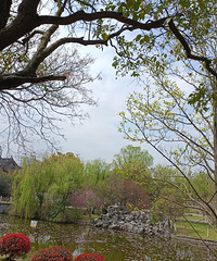 һ��Ұ�Ͳ� һ��С���� ����һ������ С����Ҳ���ִ˲�ƣ��