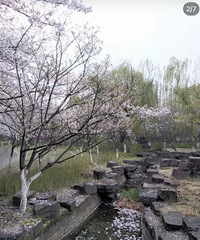 ������԰��ӣ�����ˣ������ӣ�������������������ˣ�