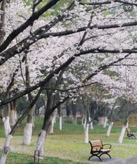 ������԰��ӣ�����ˣ������ӣ�������������������ˣ�