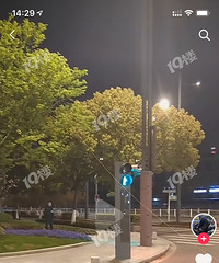 ��ͷԤ�������Ǽ��������·�Ϲ��˸�������Ҳ̫Σ���˰ɣ�