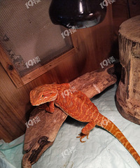 �ҵ�����̫���ˣ��ɹ������������ΰ�Ǩ��ǰ����ѷ��������ˡ�