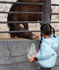 ���ϰٲ�԰�����ֳ�����԰ֲ��԰Ϊһ�� ���Դ��ܲ�Ͷι����