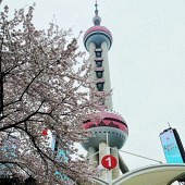 ���鱾�ߵ���ʵ