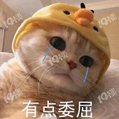 ����������·��