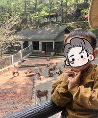 ����Ұ������԰200Ԫ �����ݶ���԰ֻҪ20Ԫ �����������