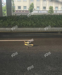 ���컯�գ����˴���·�϶������ˣ����˰���