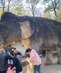 ���ݶ���԰��·����̨�� �����Ƴ��ܲ����� ������ɽ�ĸо�