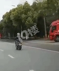 ͩ��14�ꡰ�������ꡱ��·�ż����������