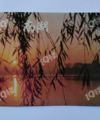 ɹղأ44ֵصסϺ⡷Ƭ