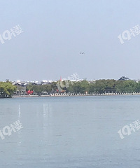 �Ϻ������ �����ݶ�����Ⱦ���أ���ɷ�羰