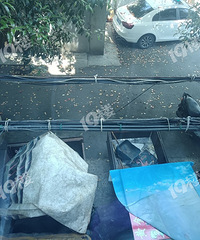 �����������������ɶʱ���Ǹ�ͷ����˭��դ���´���ʰһ�£�