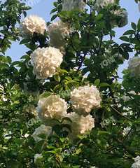 ��ҵ�ľ���򣡺ö��˶������ա�