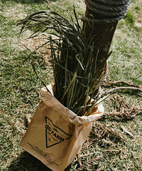 �������ֲ������ũ�������Խ����������Ӵ�������С��������ʩ