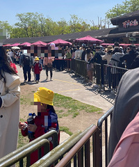 ���Ϻ�Ұ������԰������С���飡����Ҫ�Կ��ģ�