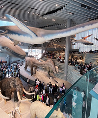 �Ϻ���Ȼ����ݹ��ԣ������˽�������Դ���ֽ�����