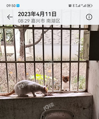 ���Σ�С��ÿ��Ͷι����è �ܱߵ�ס���ͱ���ȴԹ���ص���