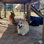 ��������ũ��