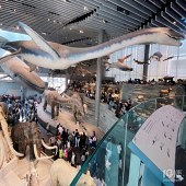 �Ϻ���Ȼ����ݹ���