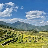 ��ˮ�ƺ�����