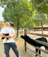 ��������������ɳ ���滹�кܶ�÷��¹���տ���Ͷι